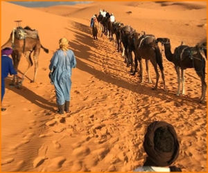 private 5 days tour from Fes to Merzouga and Marrakech,4,5,6 days Fes to desert trip