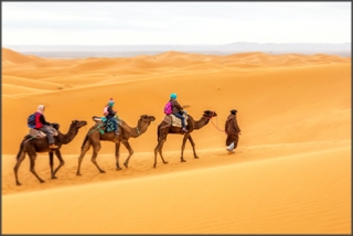 3 Days Tour from Errachidia to desert and Marrakech