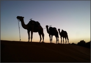 private 5 days tour from Marrakech to Merzouga desert,family Morocco trip