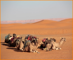 private 2 Days Ouarzazate tour to Zagora desert,Morocco Sahara tour