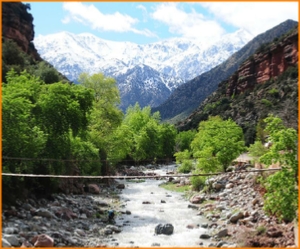 escursione privata da Marrakech a valle di Ourika, avventura Marrakech 1 gita di un giorno