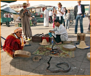 private 2 Days Casablanca tour to Marrakech,round-trip to Marrakech in Morocco