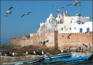 Excursión 1 día desde Marrakech a Essaouira,ruta privado a Essaouira