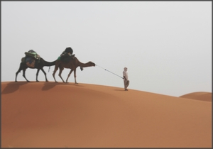 private 5 days Tangier tour to explore Sahara desert,Tangier tour to Merzouga and Marrakech