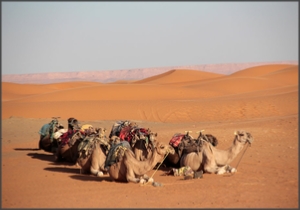 private 2 Days Ouarzazate tour to Zagora desert,Morocco Sahara tour