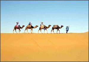 Tour 3 giorni da Fes a deserto Merzouga,viaggiare in Marocco,tour privati da Fes