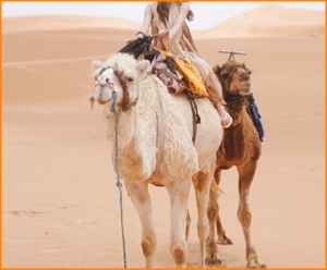 private 2 days tour from Fes to Merzouga desert,Morocco adventure Sahara trip,Erg Chebbi excursion