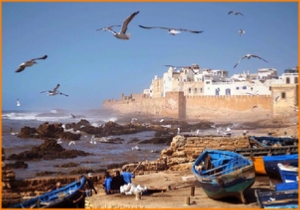 escursione privata da Marrakech a Essaouira, avventura Marrakech 1 gita di un giorno